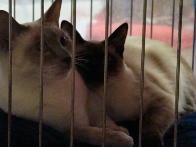 20121021_158 (Expo)